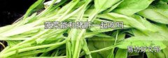 菠菜能和猪肝一起吃吗