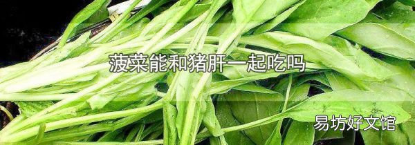 菠菜能和猪肝一起吃吗