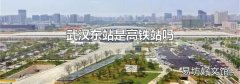 武汉东站是高铁站吗