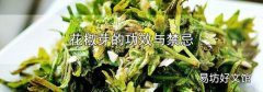 花椒芽的功效與禁忌