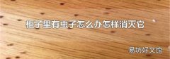 柜子里有虫子怎么办怎样消灭它