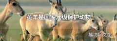 黄羊是国家几级保护动物