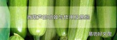 西葫芦的功效与作用及禁忌