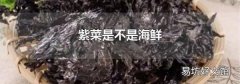 紫菜是不是海鲜