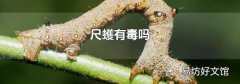 尺蠖有毒吗