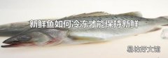 新鲜鱼如何冷冻才能保持新鲜