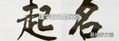 瑷字取名的寓意