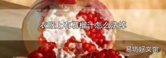 衣服上有石榴汁怎么洗掉