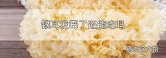 银耳发霉了还能吃吗