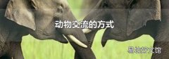 动物交流的方式