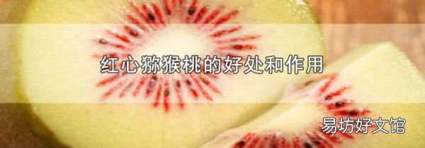 红心猕猴桃的好处和作用