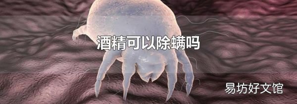 酒精可以除螨吗