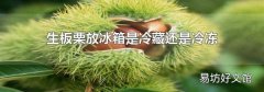 生板栗放冰箱是冷藏还是冷冻