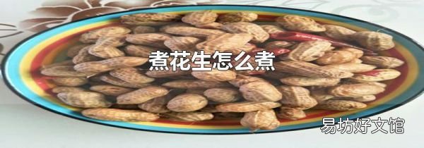 煮花生怎么煮