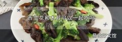 西兰花和木耳可以一起吃吗