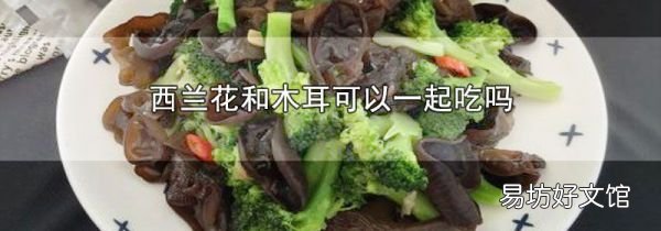 西兰花和木耳可以一起吃吗