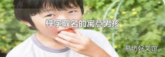 梓字取名的寓意男孩