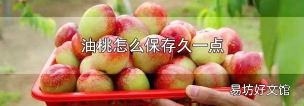 油桃怎么保存久一点