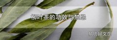 柳叶茶的功效与禁忌