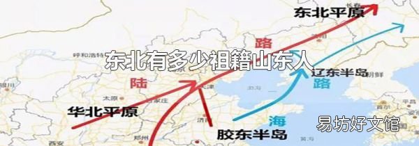 東北有多少祖籍山東人