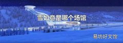 雪如意是哪个场馆