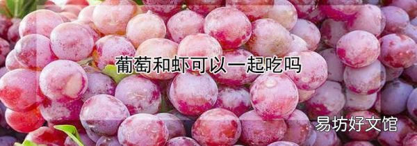 葡萄和虾可以一起吃吗