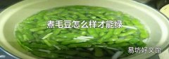 煮毛豆怎么样才能绿