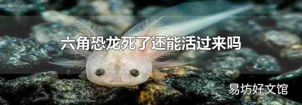 六角恐龍死了還能活過來嗎