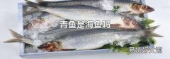 青鱼是海鱼吗