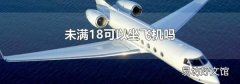 未满18可以坐飞机吗