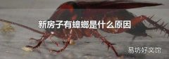 新房子有蟑螂是什么原因