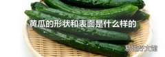 黄瓜的形状和表面是什么样的