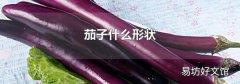 茄子什么形状