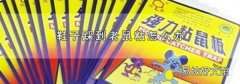 鞋子踩到老鼠粘怎么办