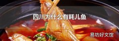 四川为什么有耗儿鱼