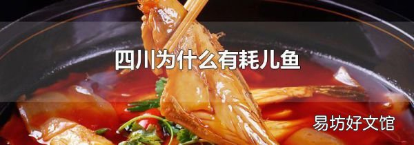 四川为什么有耗儿鱼