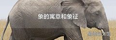 象的寓意和象征