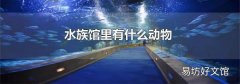 水族馆里有什么动物