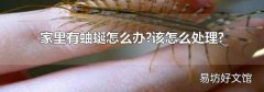 家里有蚰蜒怎么办?该怎么处理?