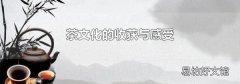 茶文化的收获与感受