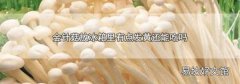 金针菇放冰箱里有点发黄还能吃吗