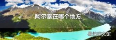 阿尔泰在哪个地方