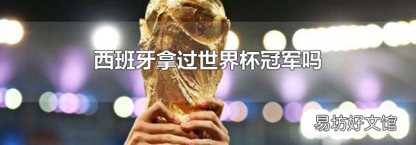 西班牙拿过世界杯冠军吗