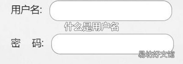 什么是用戶名