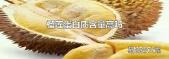 榴莲蛋白质含量高吗