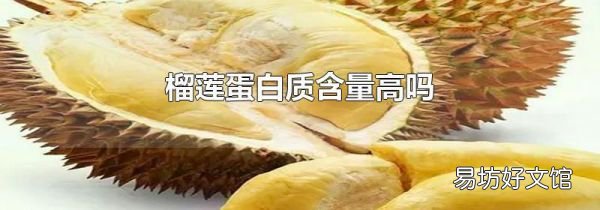 榴莲蛋白质含量高吗
