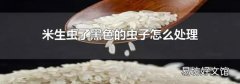 米生虫了黑色的虫子怎么处理