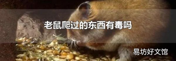 老鼠爬过的东西有毒吗
