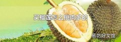 买榴莲怎么挑肉多的