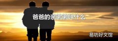 爸爸的亲弟弟叫什么